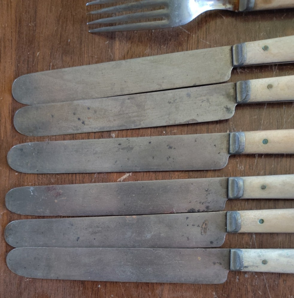 VTG Bone Handle Knife & Fork Set 12 Total Unbranded