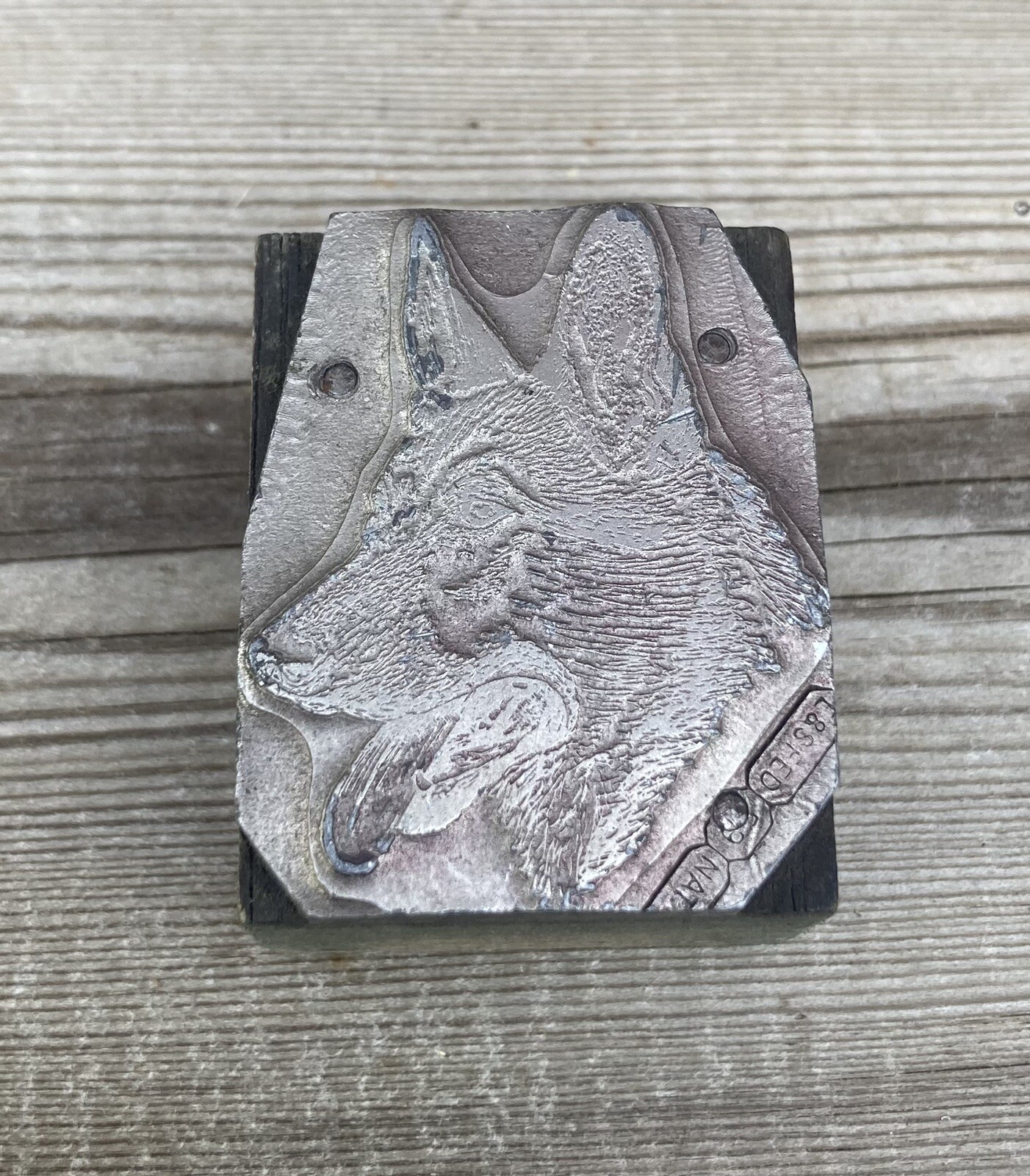 Vintage German Shepherd Dog Print Block