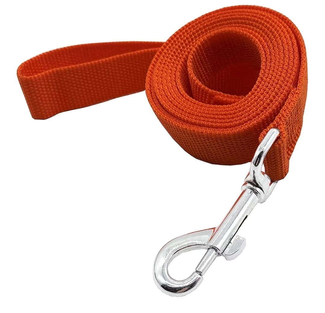 Dog Leash Nylon 1" x 20ft Orange