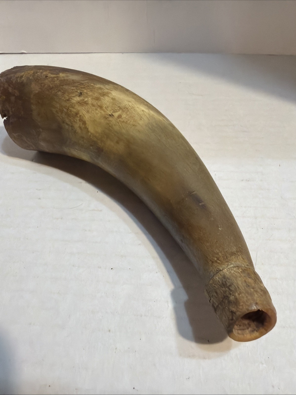 Antique Powder Horn Civil War Era Black Powder No Plug