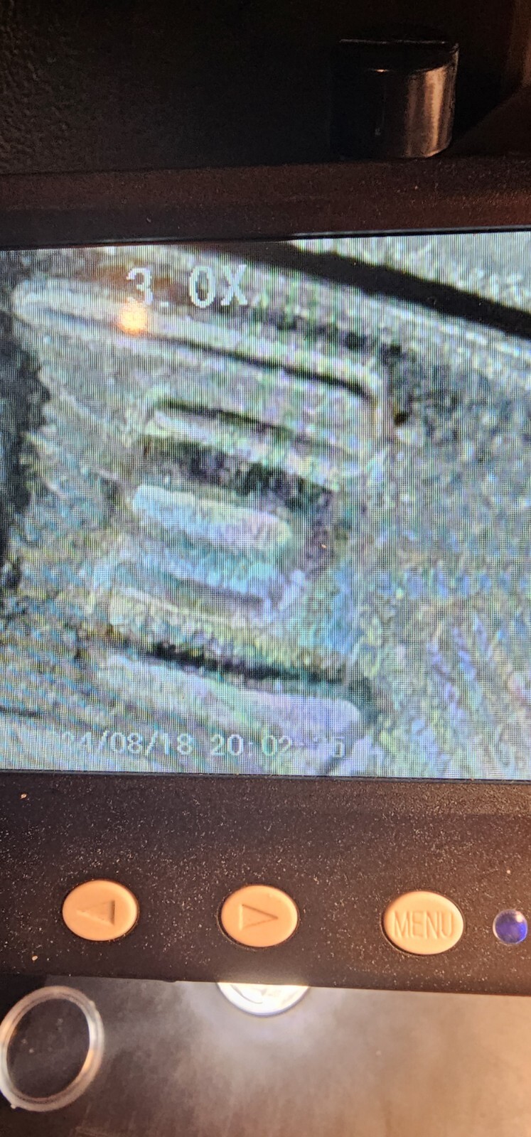2024 D Hope Quarter DDO/DDR Errors