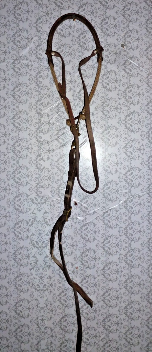DARK LEATHER ENGLISH HACKAMORE WITH FLEECE & CHIN STRAP REIGNS & HEADGEAR ****