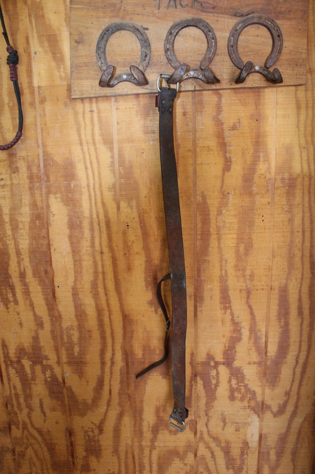 Rear Cinch With Connector Strap