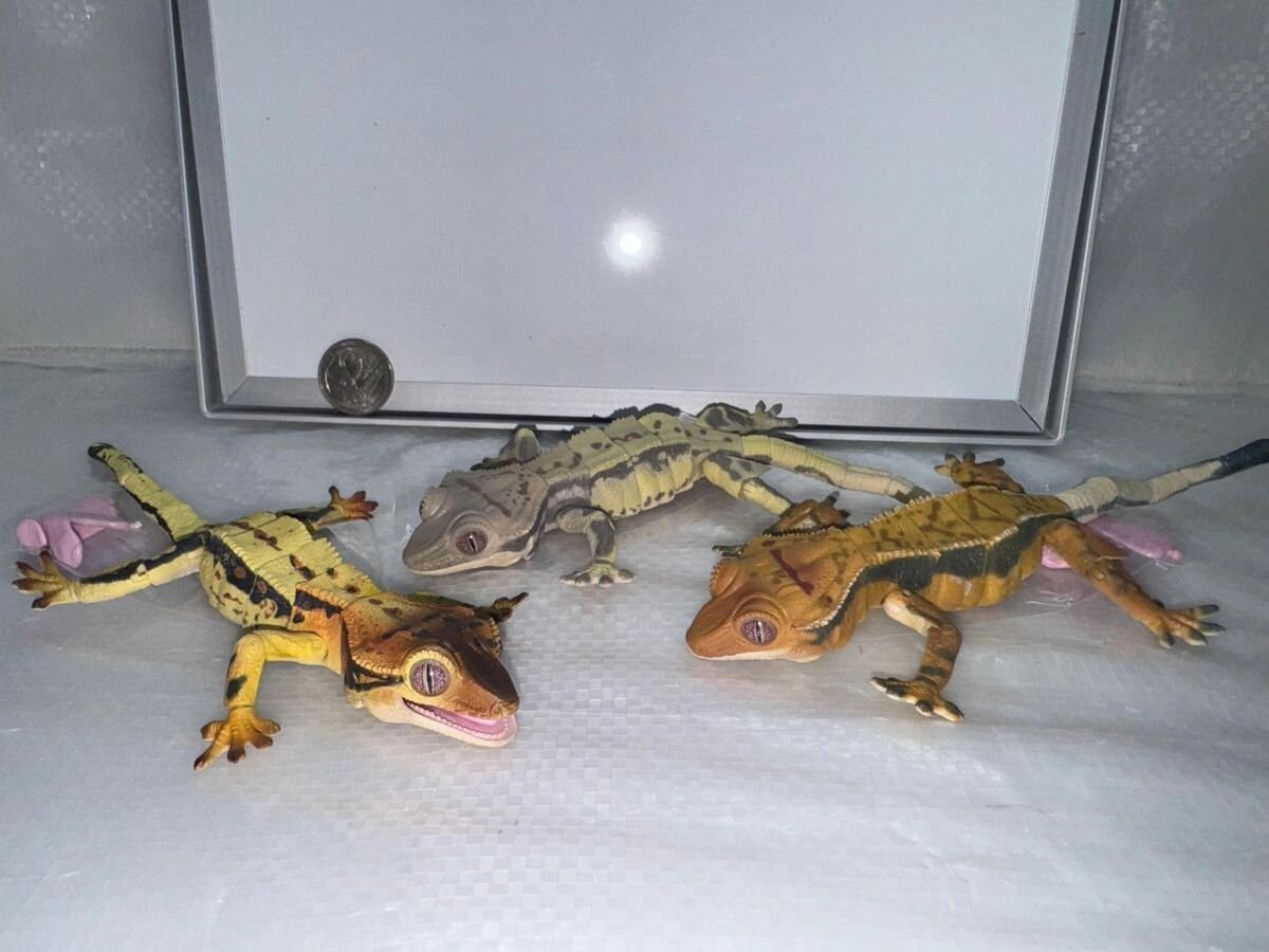 Premium Crested Gecko Gachapon from Bandai