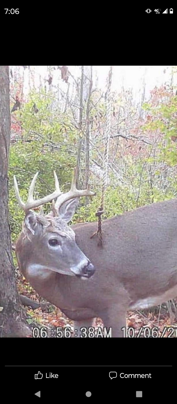 deer attractant Rope Kit! Free Shipping!