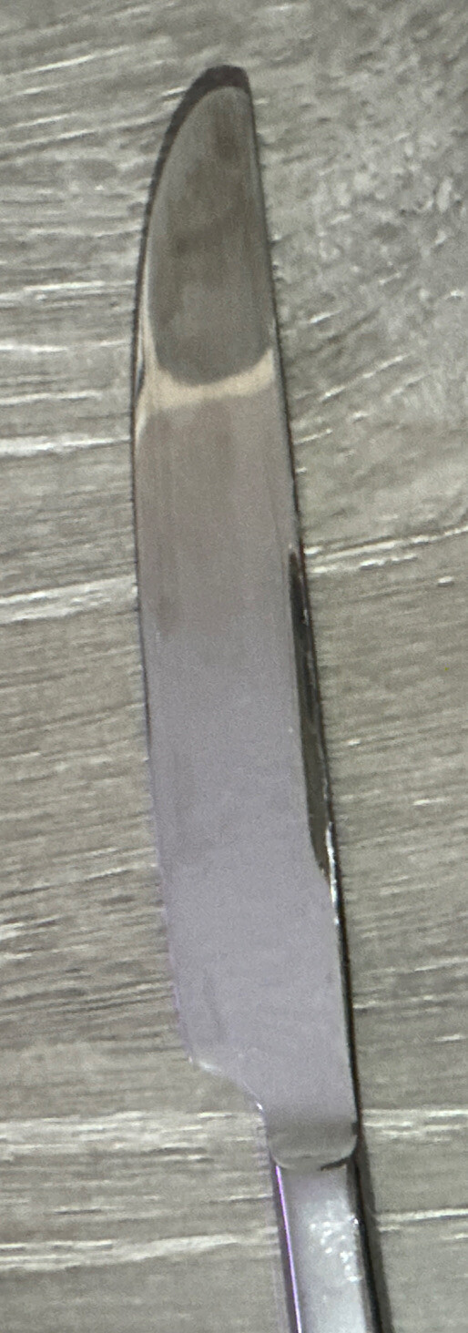ONEIDA CHEFS TABLE DINNER KNIVES STAINLESS FLATWARE