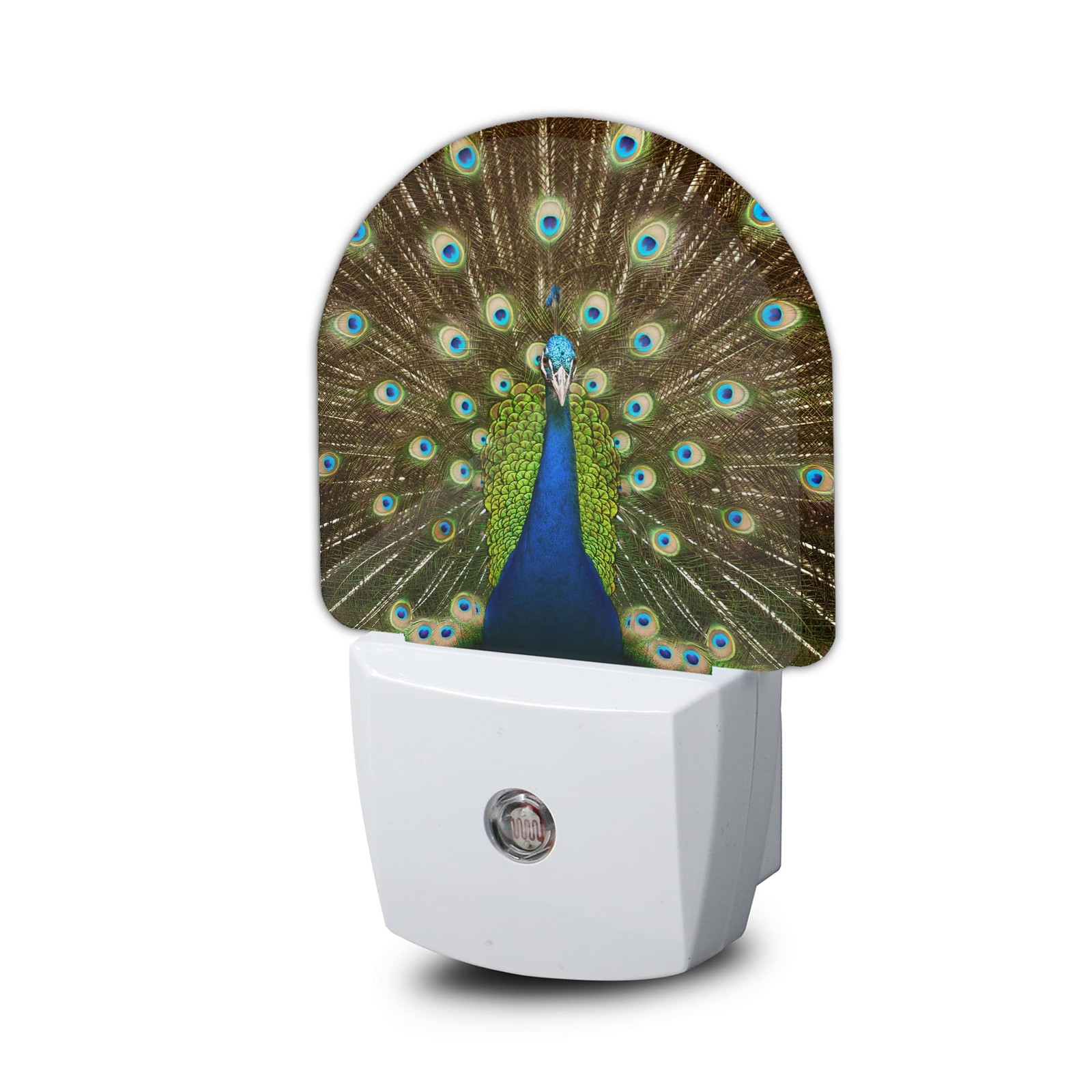 The Peacock Opens Night Light, Night Lights Plug Into Wall Home Indoor Stairw...