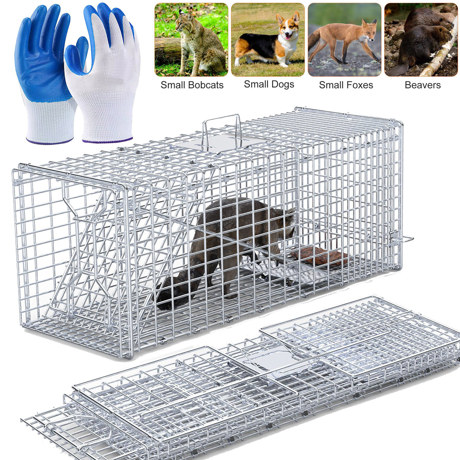 Live Animal Cage Trap 37x15x14" Humane Rodent Raccoon Coyotes Cage Iron Door