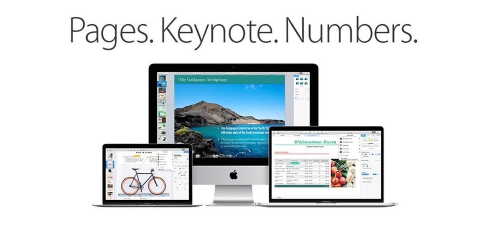 Apple iWork '09 (Single User) - Full Version Mac