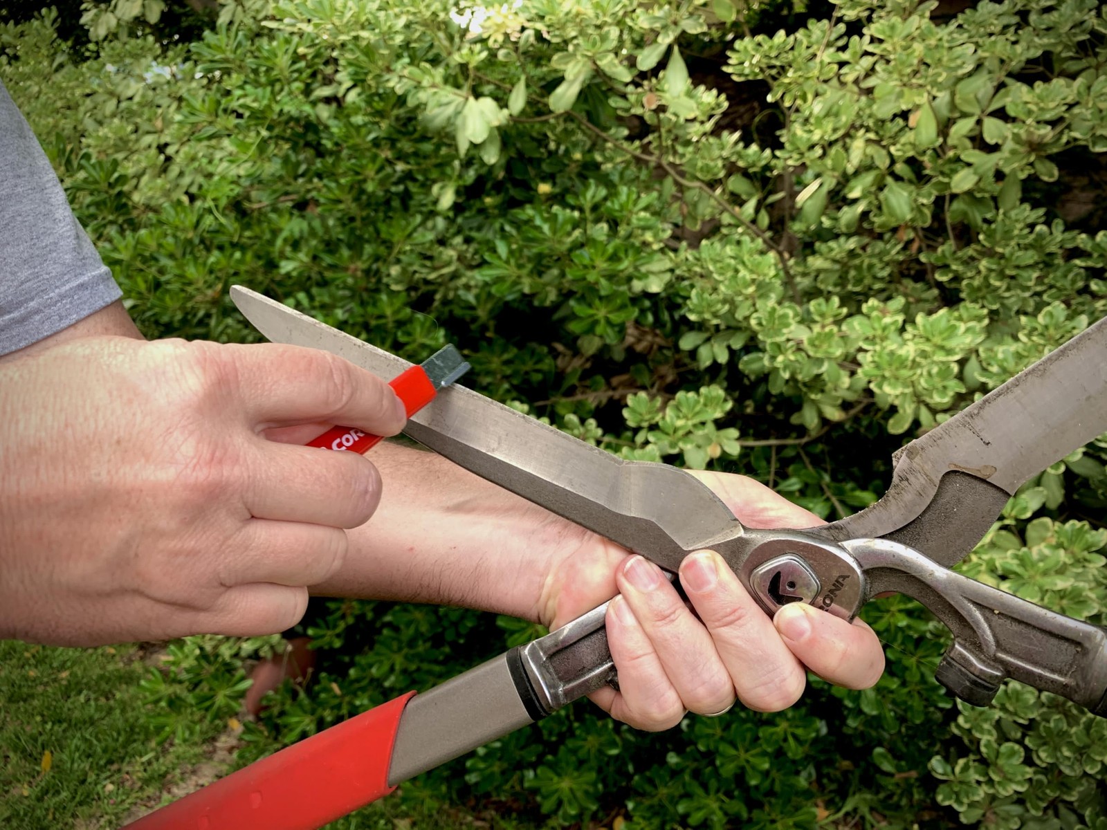 Tools Handheld Garden Tool Sharpener– Blade Sharpener for Pruning Shears, Lop...