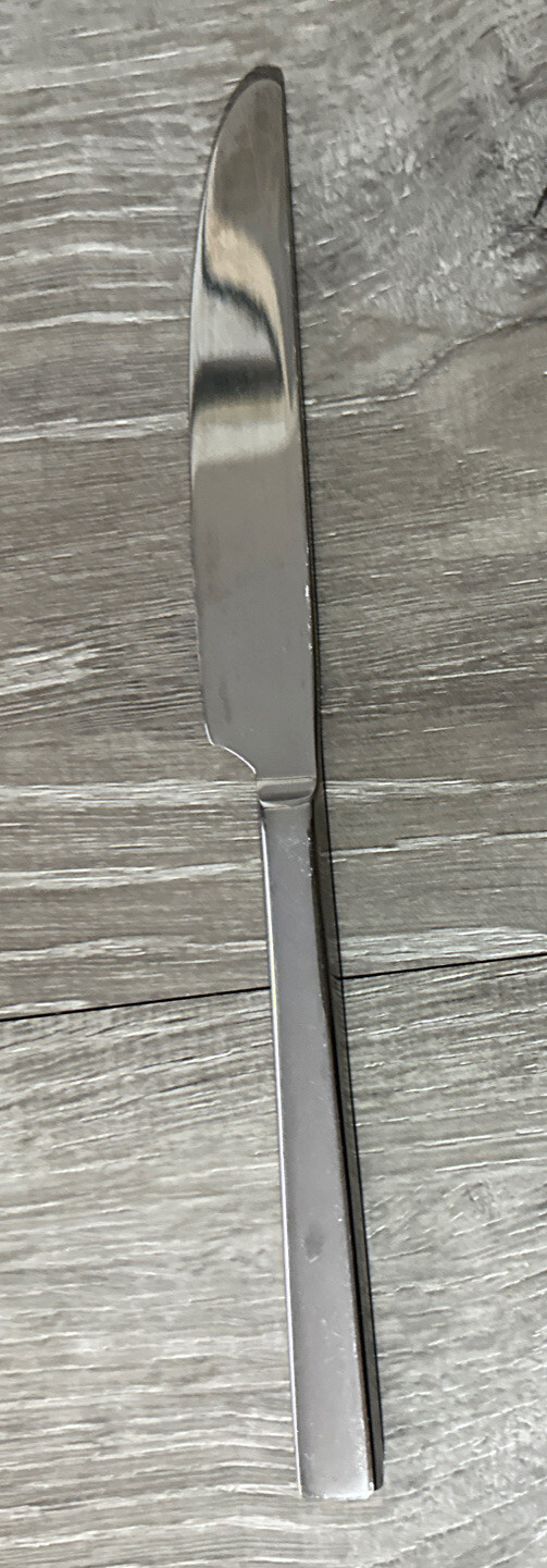 ONEIDA CHEFS TABLE DINNER KNIVES STAINLESS FLATWARE