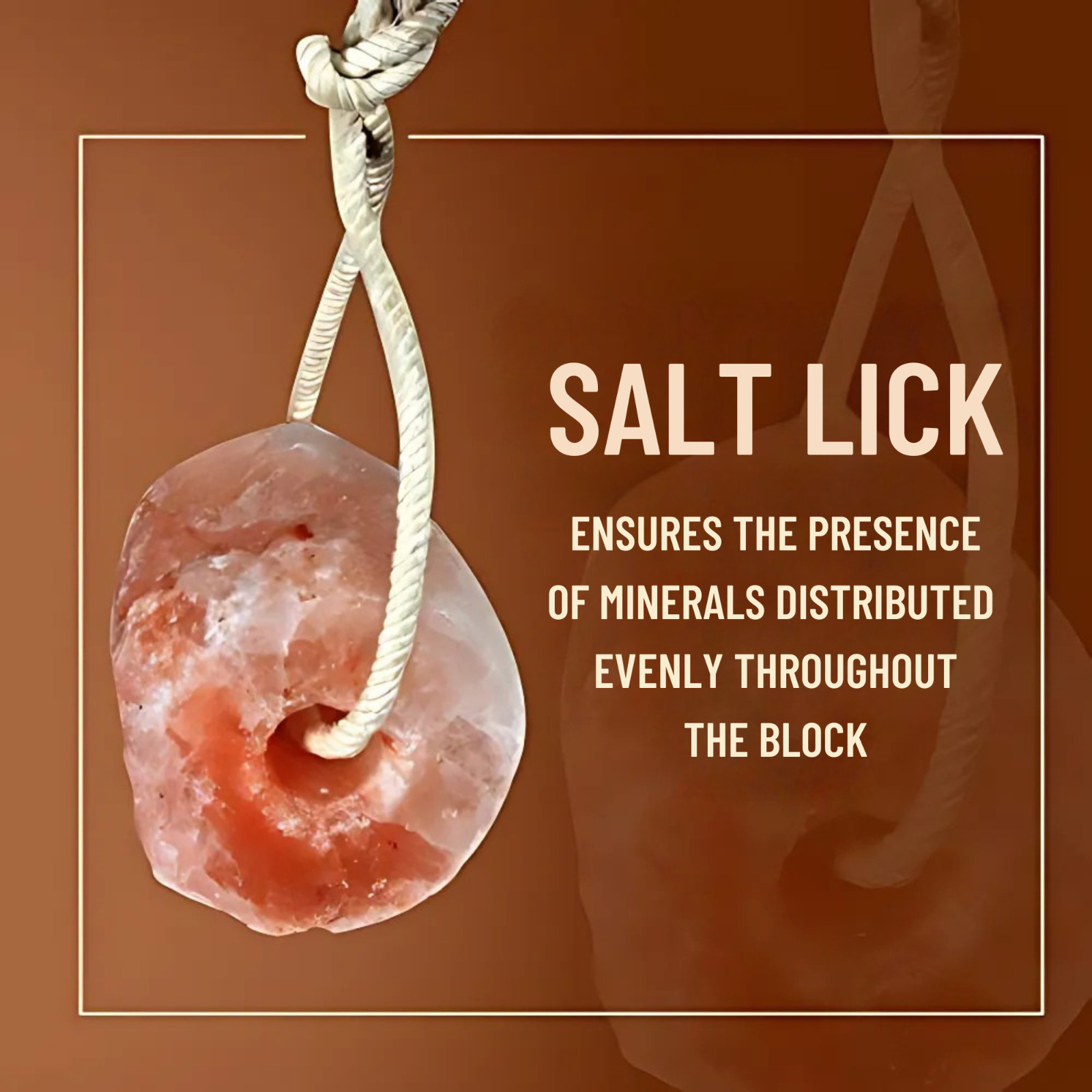 Horse Treats – Natural Himalayan Salt Lick Mineral Block for Horses (Pack of 12)