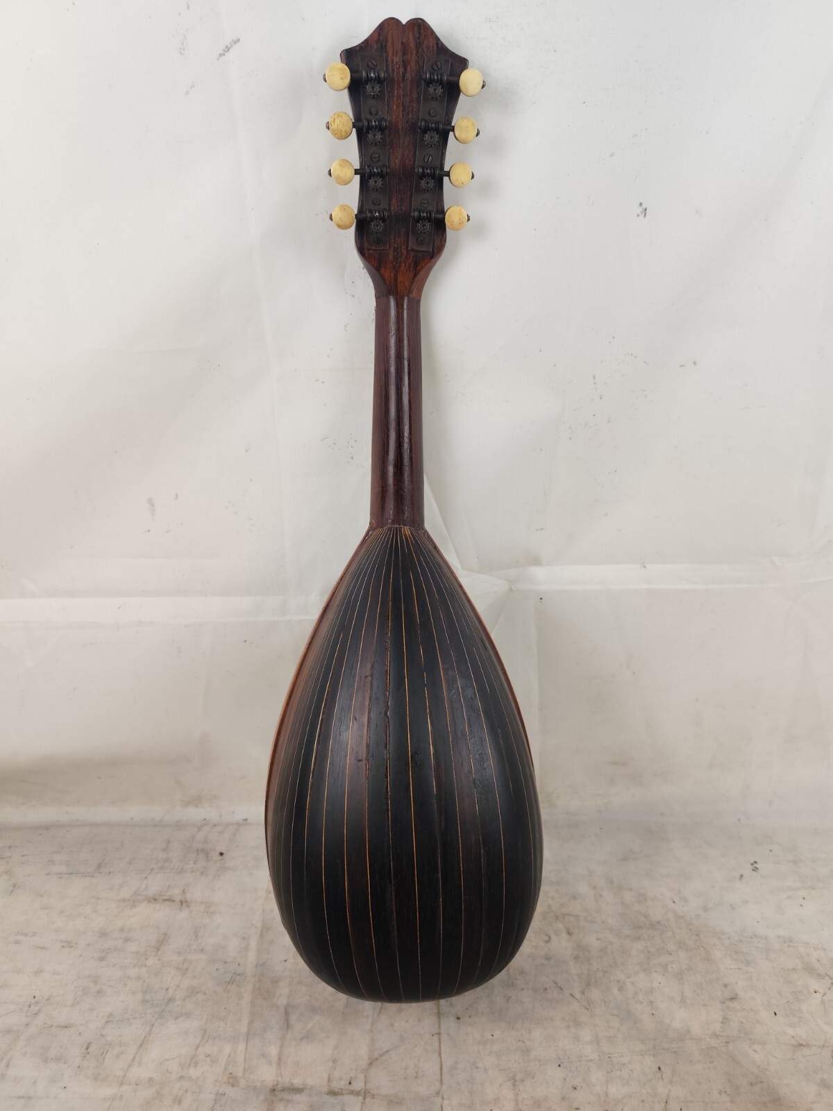 Mandolin 4/4 Strident 1930 Naples 曼陀林 만돌린マンドリン