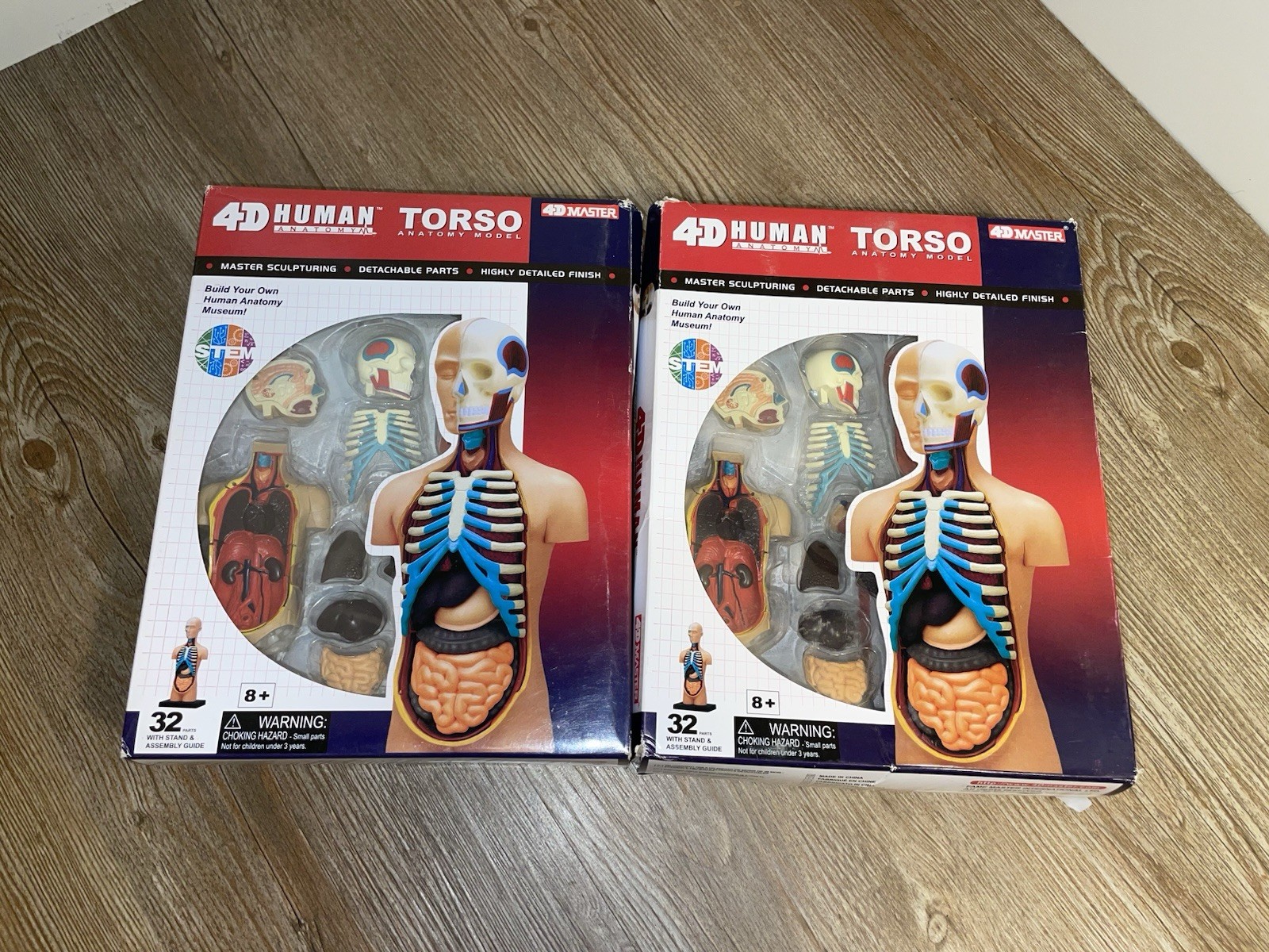 (2) 4D Master  4D Human Torso Anatomy Model Department Of Anatomy Brand New