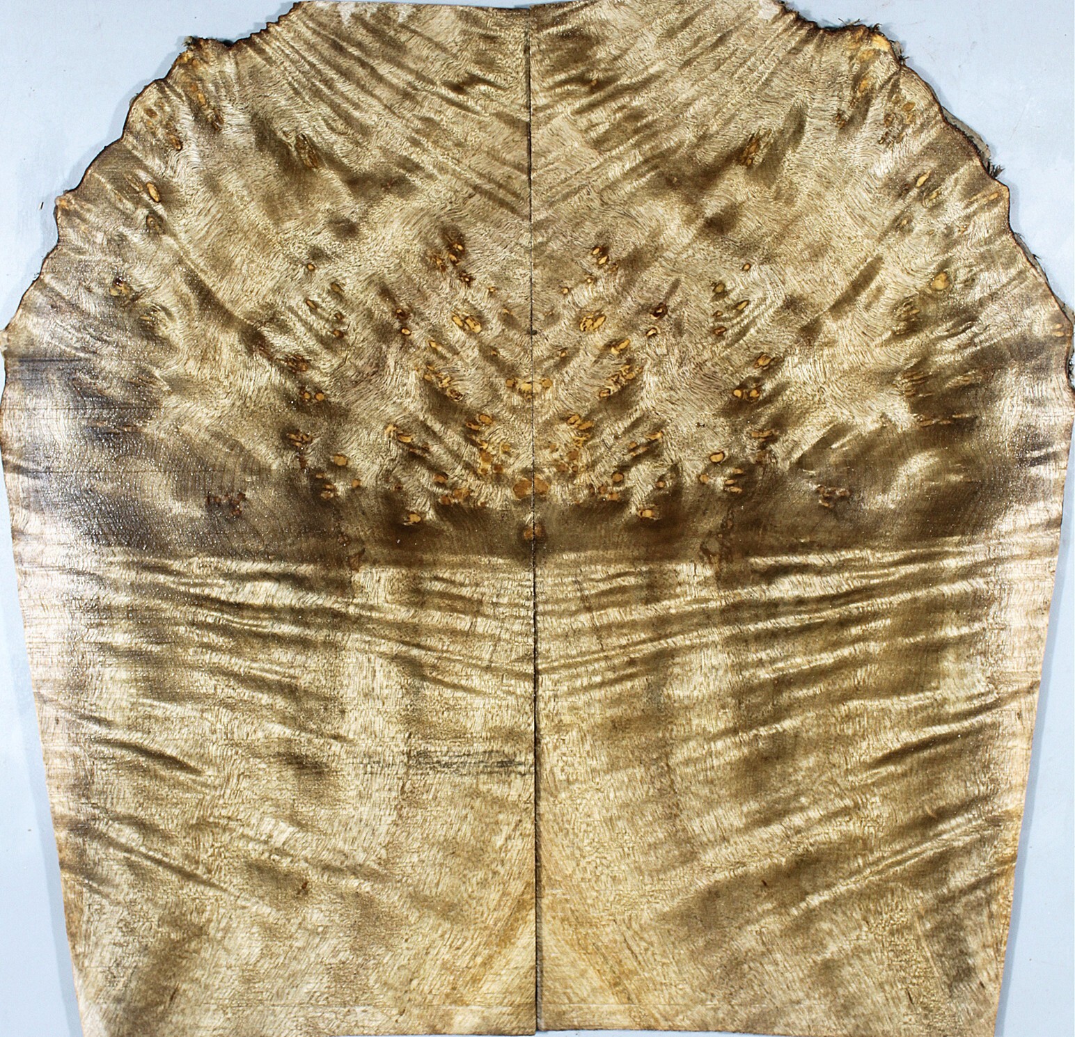 55 Bookmatch inlay Wood Flame Golden Camphor Burl Box Making Marquetry Veneer