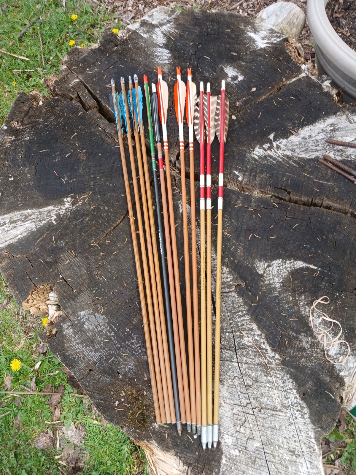 Mixed group of MicroFlite 8 fiberglas arrows Hunting weight  28-30.25" (12)