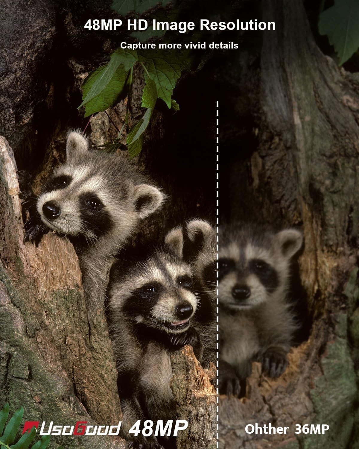 Camara De Caza Digital Infraroja Para La Noche Grabar Animales Vida Salvaje NEW