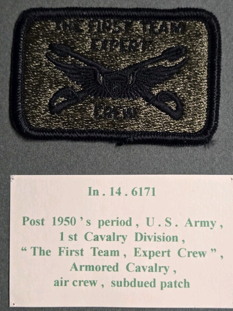 1st Cavalry Division First Team Expert Crew Subdued Patch (215)
