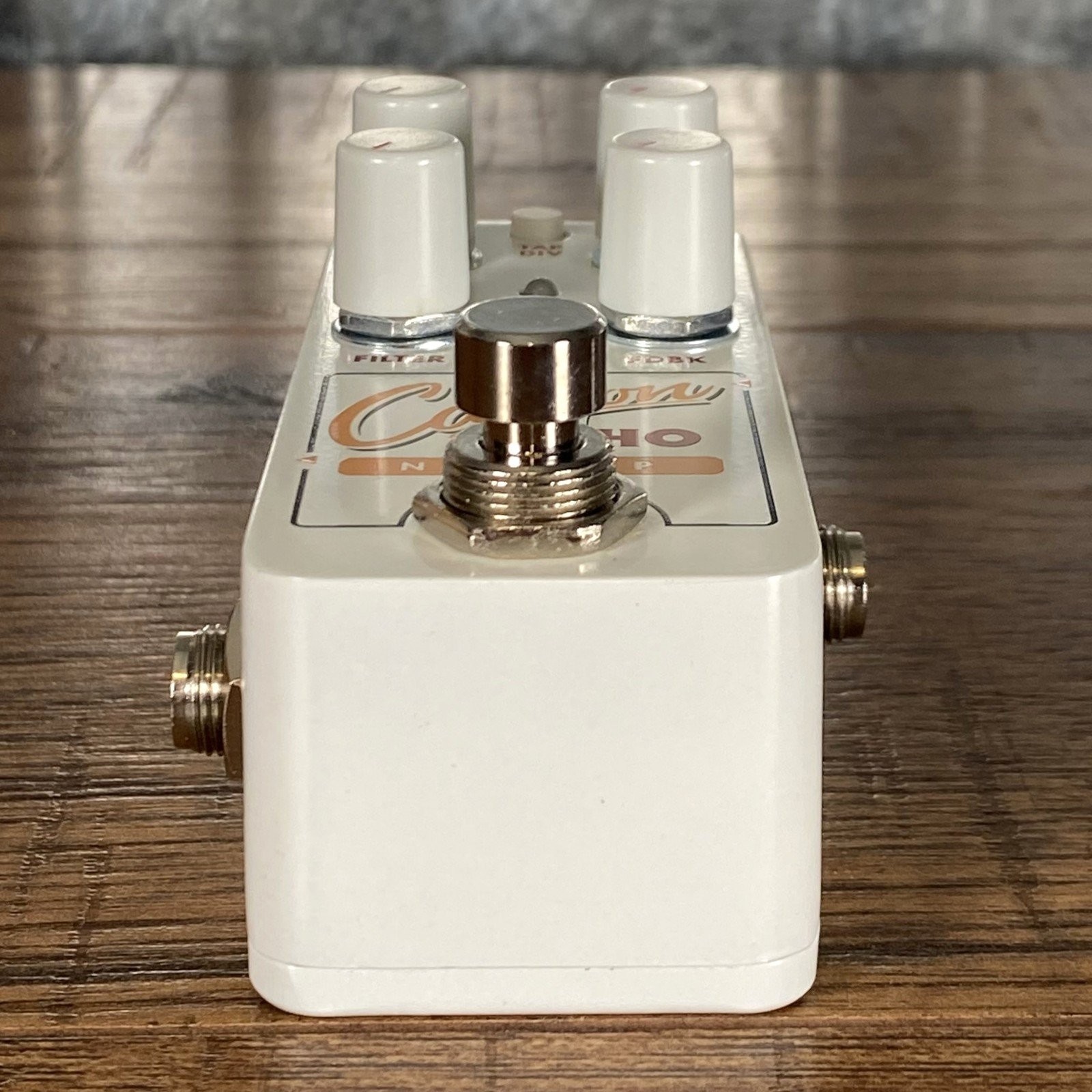 Electro-Harmonix EHX Pico Canyon Echo Digital Delay Demo