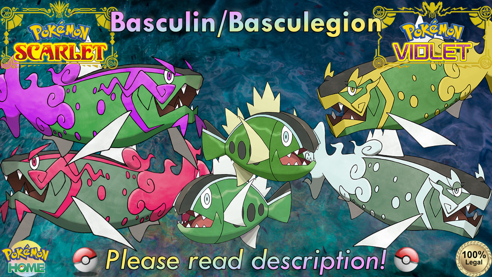 🍊Shiny/Non-shiny Hisuian Basculin/Basculegion 6IV🍇Scarlet/Violet (💯Legal)