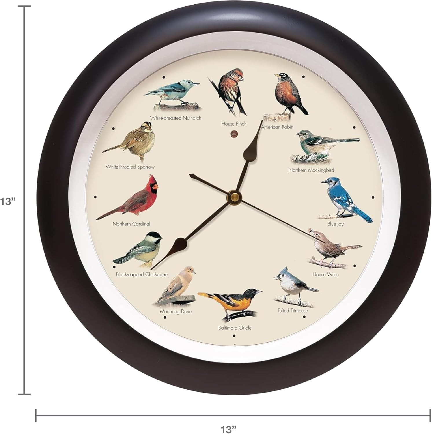 Authentic Singing Bird Wall Clock 13" Black - Quartz Movement, Battery Powered
