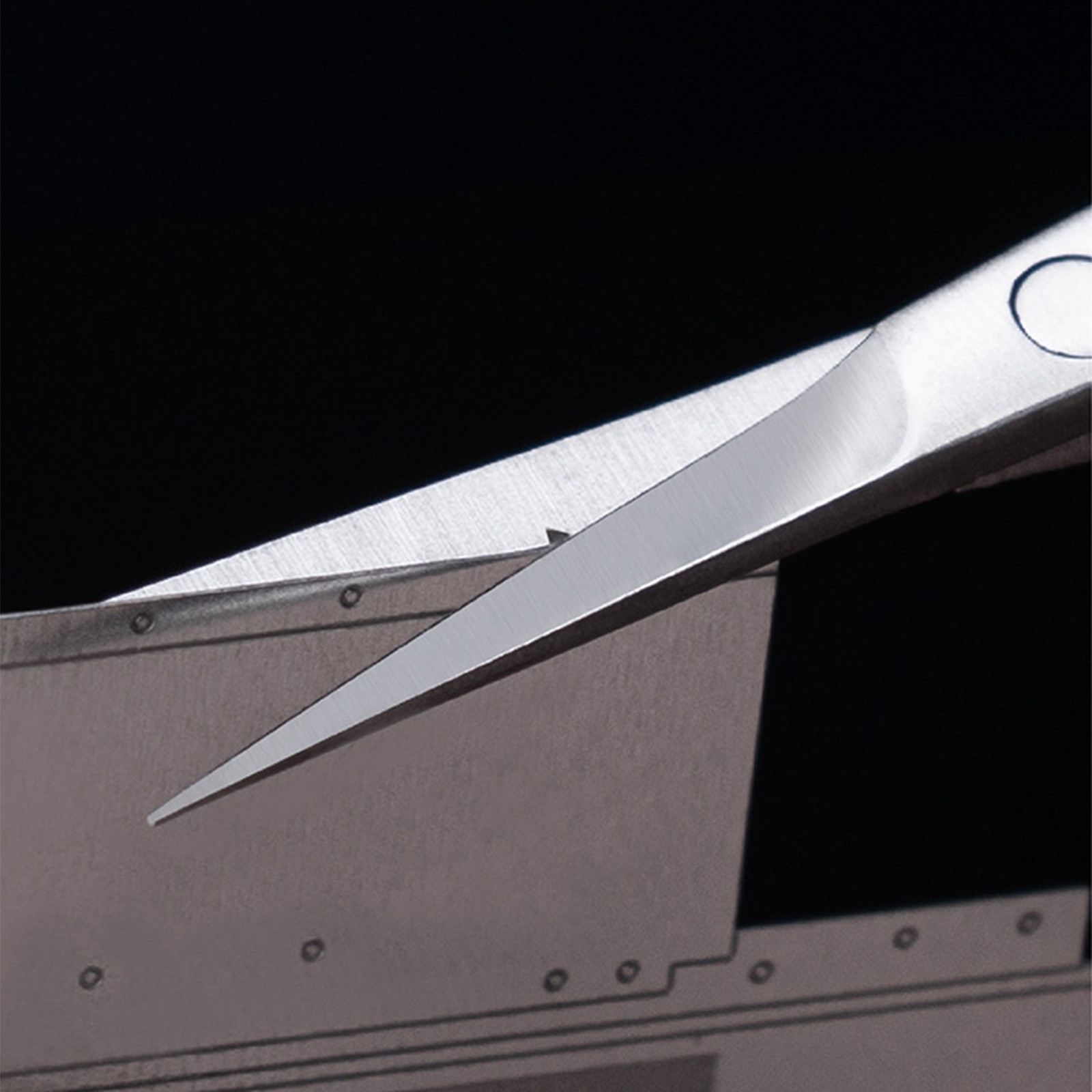 T10B02 Sharp Edge Stainless Steel Thick Modeling Scissors For Model Etching