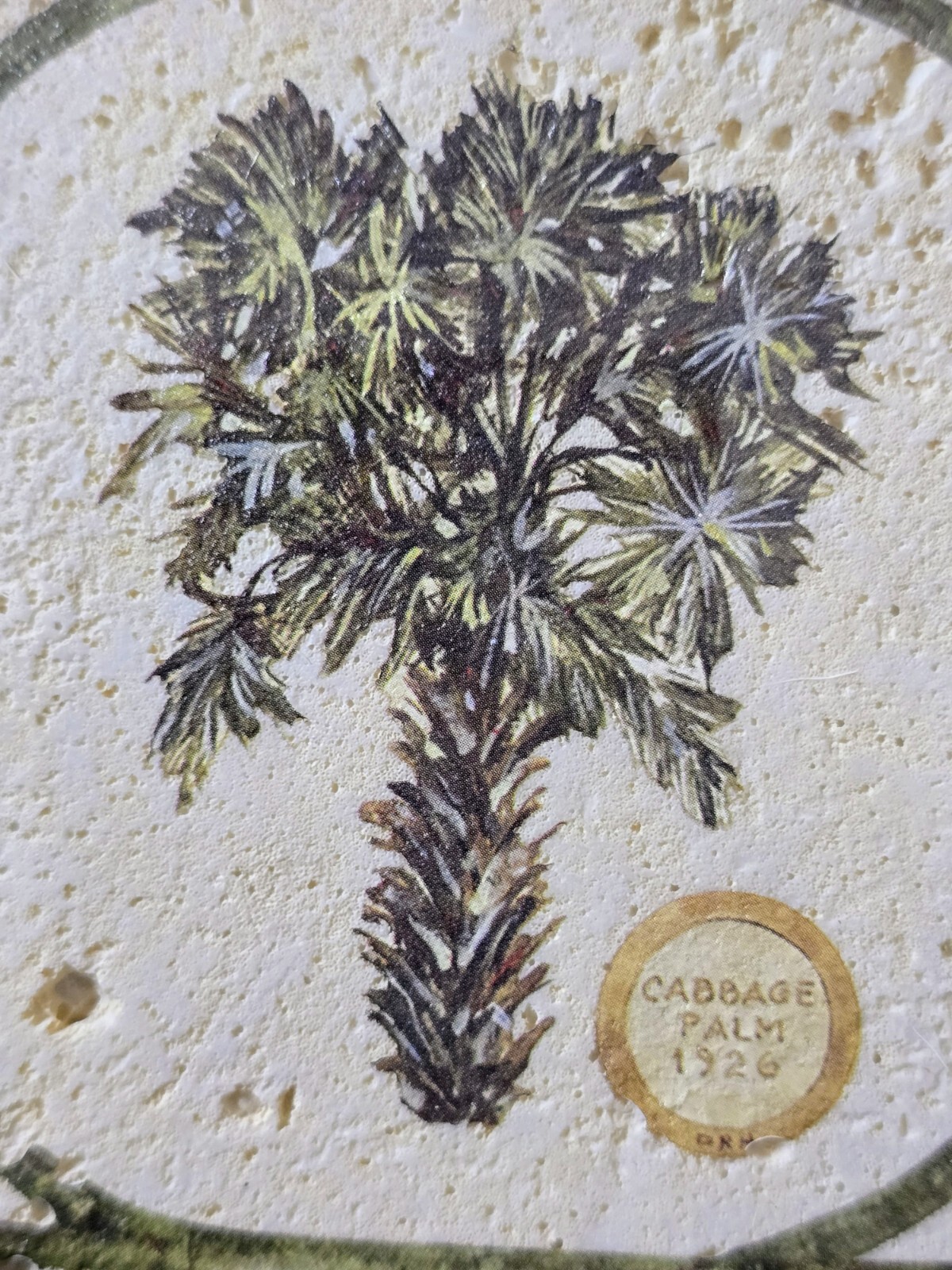 David Nichols Prime Design Cabbage Palm 1928 Coconut Palm 1878 Tile Shadow Box