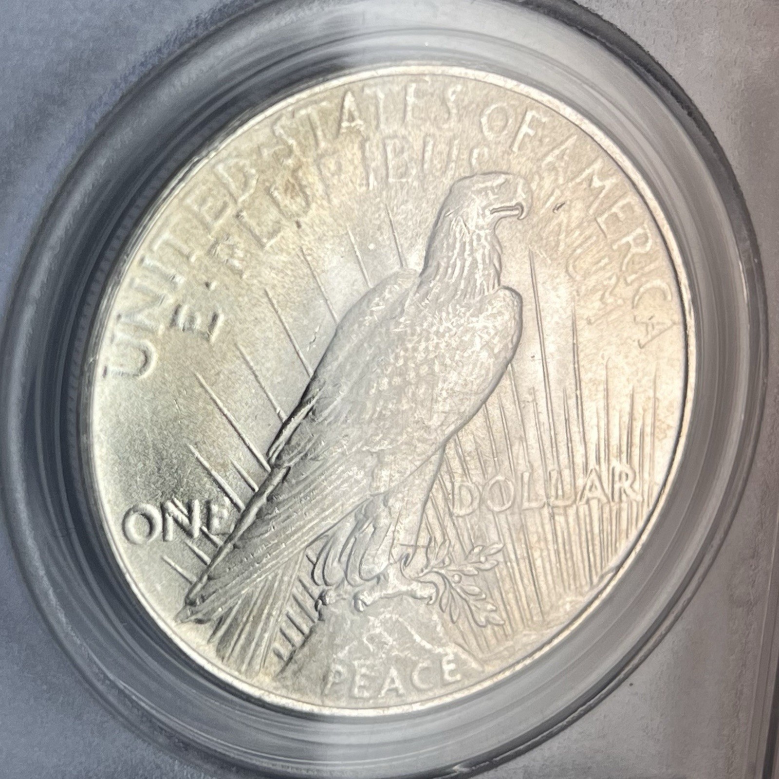 1922-P Peace Silver Dollar $1 PCGS MS62