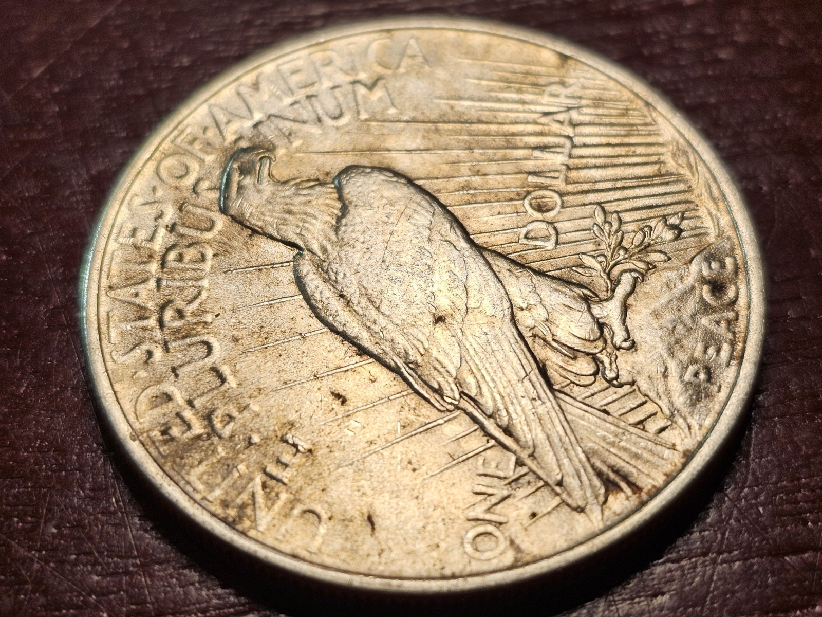 1922 Peace Silver Dollar, XF-AU, Below melt for seller, Stk 0041