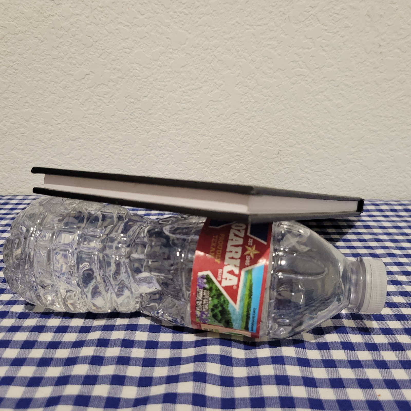 Gleim Pilot Logbook