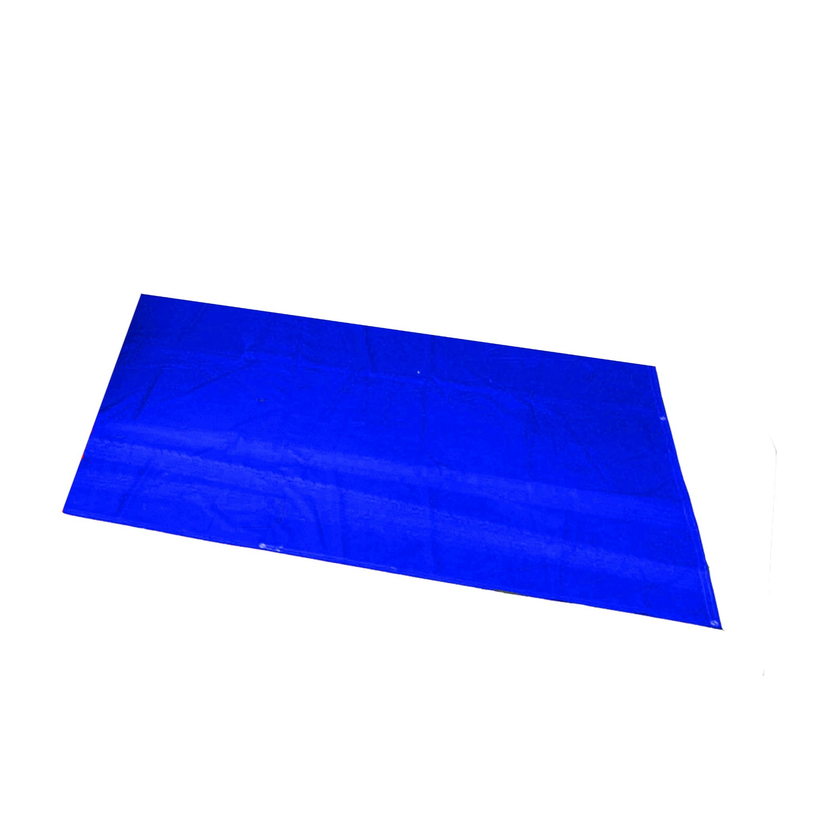 RACERDIRECT.NET NEW RACING MINI PIT MAT 10' X 10' BLUE