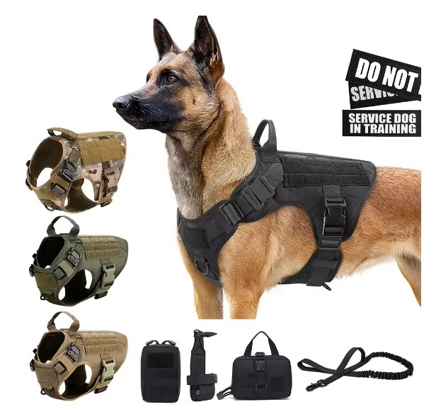 Dog Leash Set Dog Harness