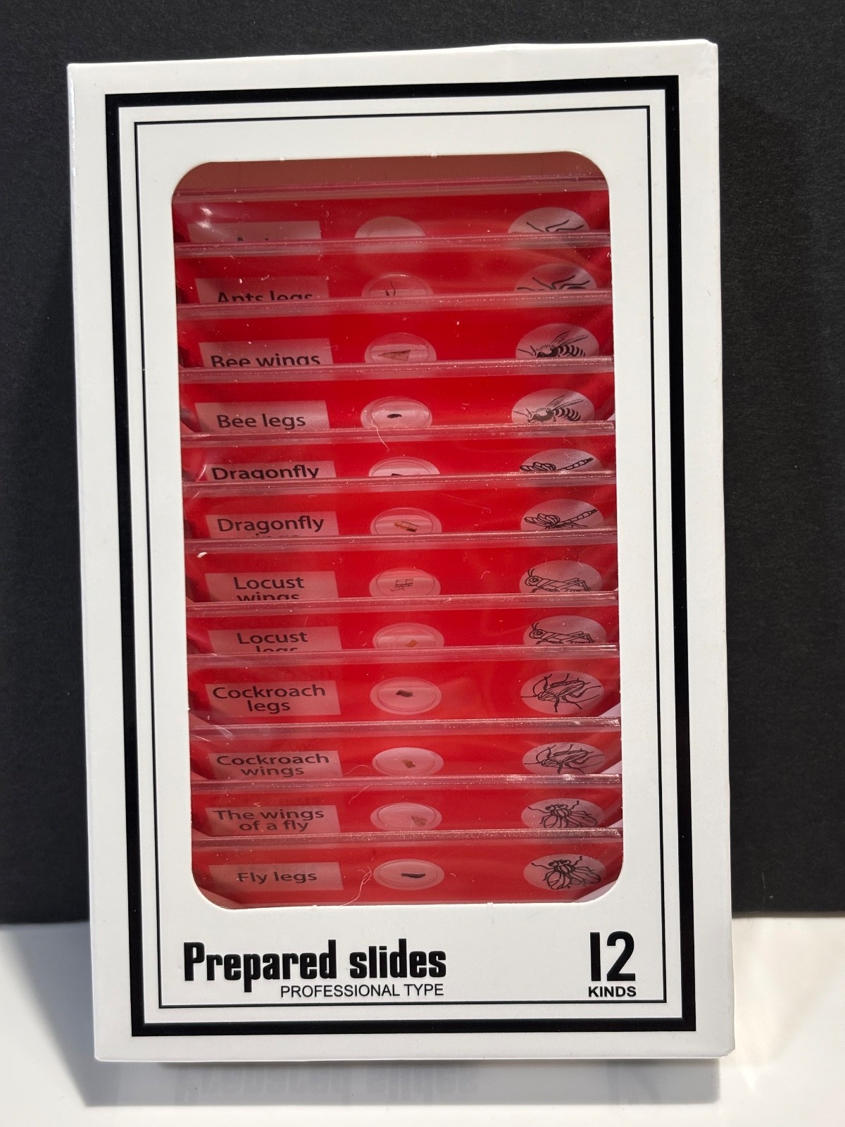 Prepared Microscope Slides Set of 12 Insect Specimens NEW