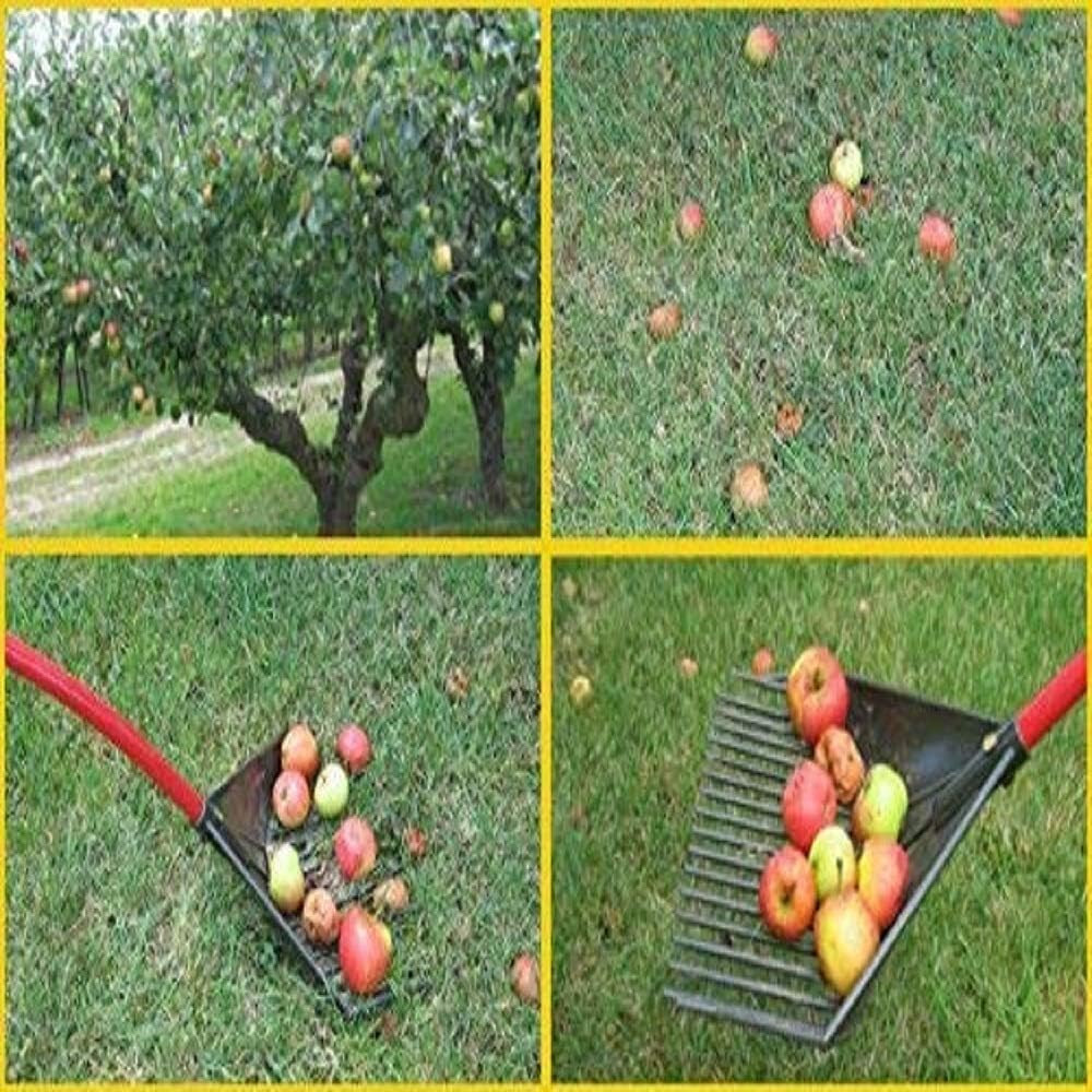 RAKE RAKE