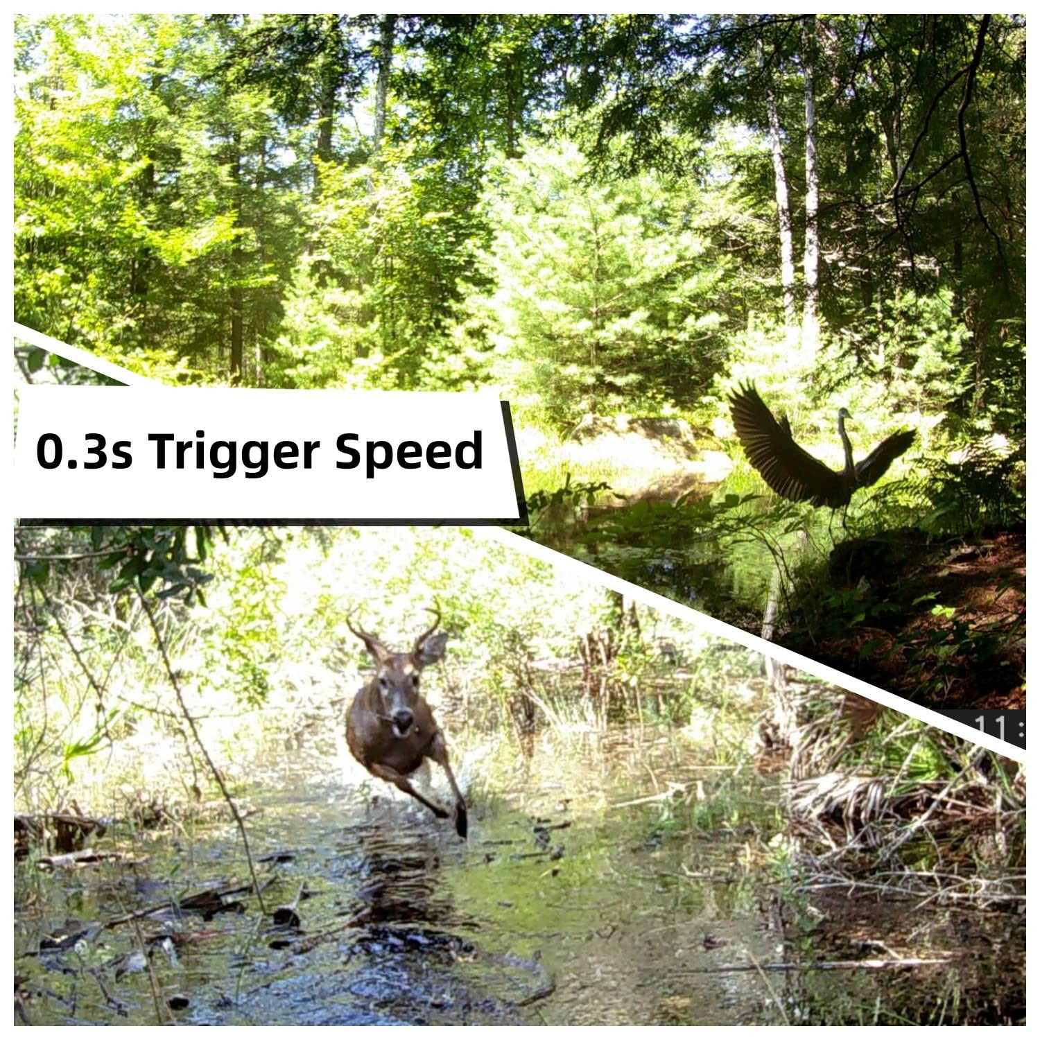 WOSODA 2 Pack Trail Camera with Night Vision Motion Activated Waterproof,30MP...