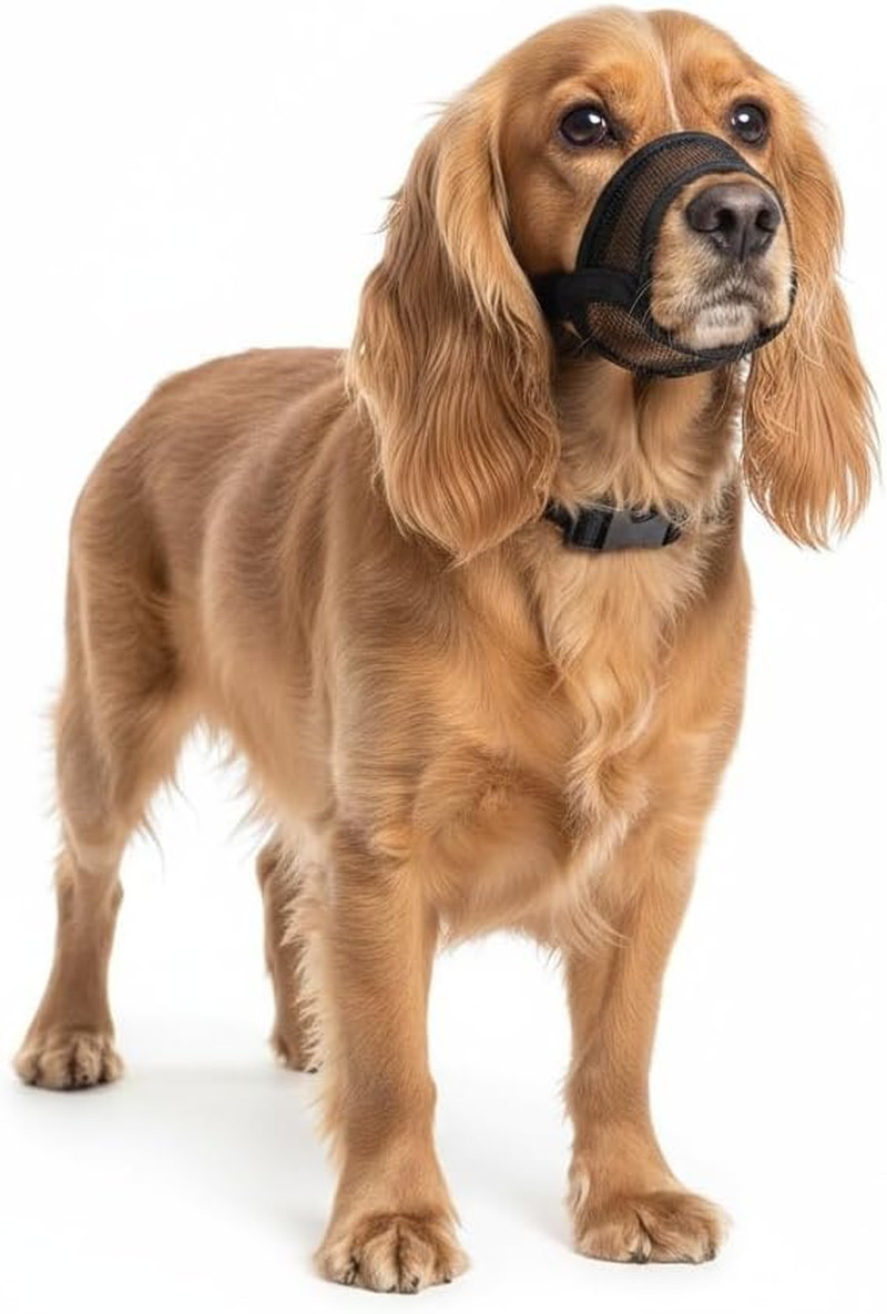 Dog Muzzle for Small Dogs - Soft Air Mesh Small Dog Muzzle | Perfect for Barking