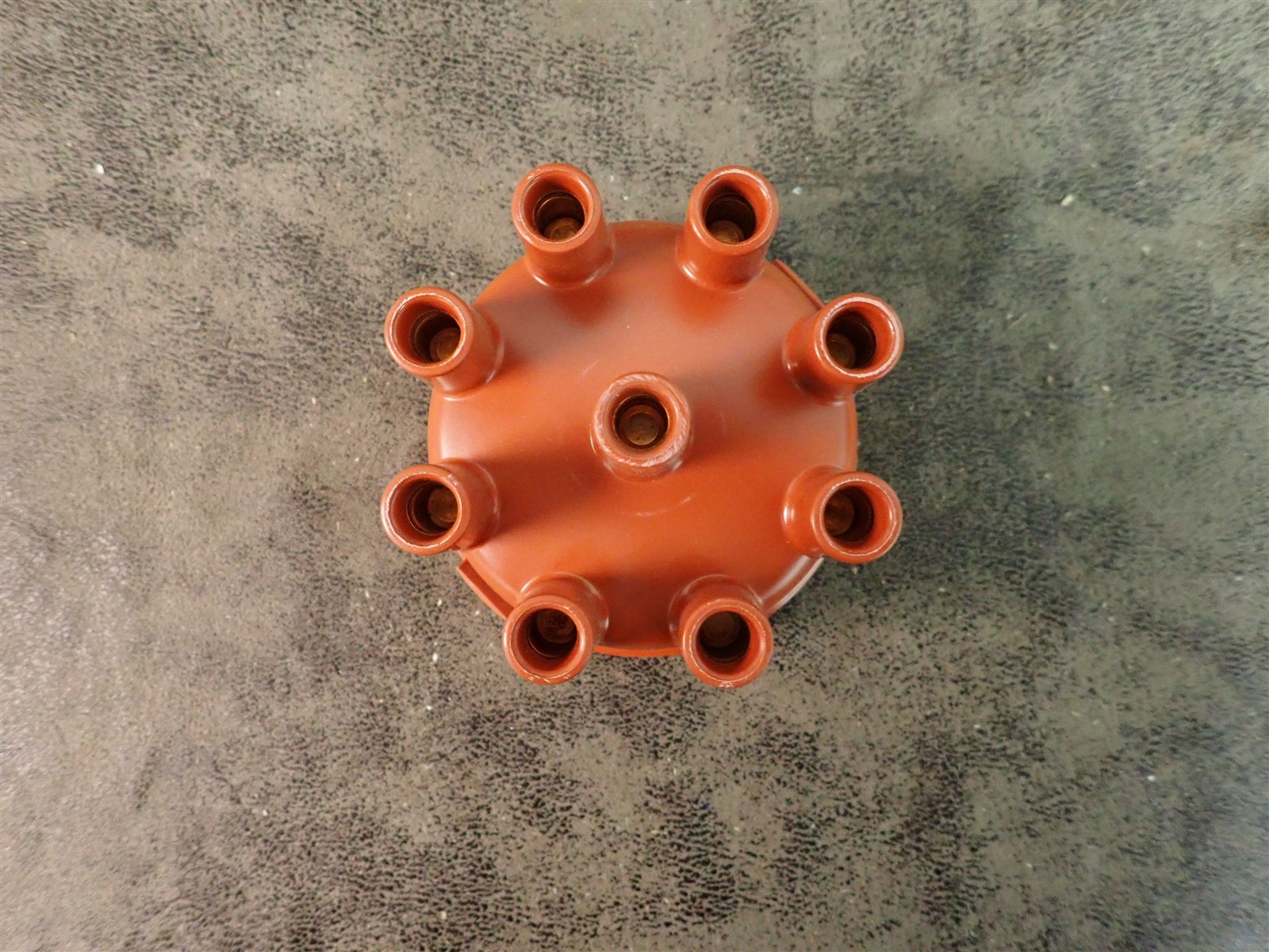 NEW WVE 5D1225 Distributor Cap (G218)