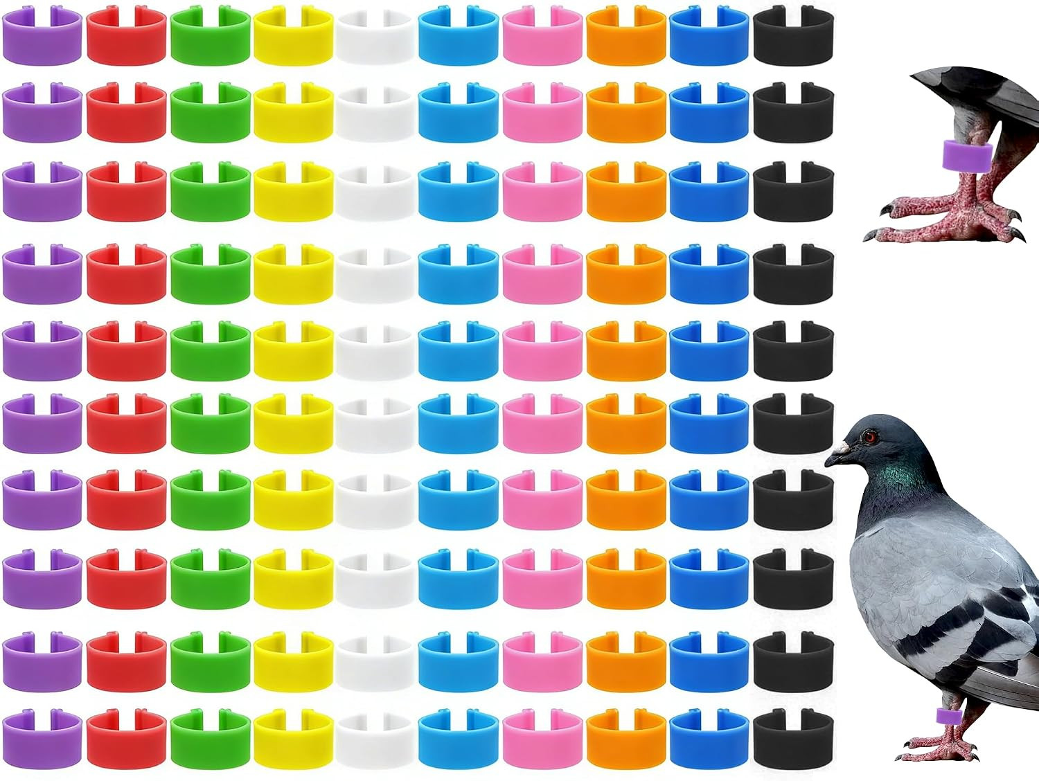 200 Pcs 8Mm Bird Quail Leg Rings with 10 Color Bird Pigeons
