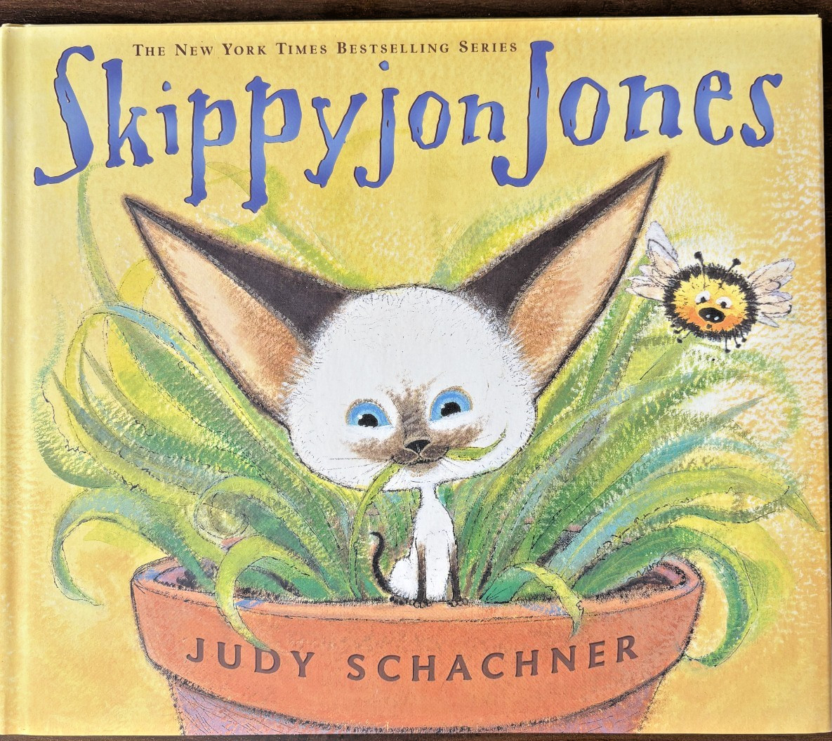 SKIPPYJON JONES - HARDCOVER School BRAND NEW Judy Schachner READ ALOUDS
