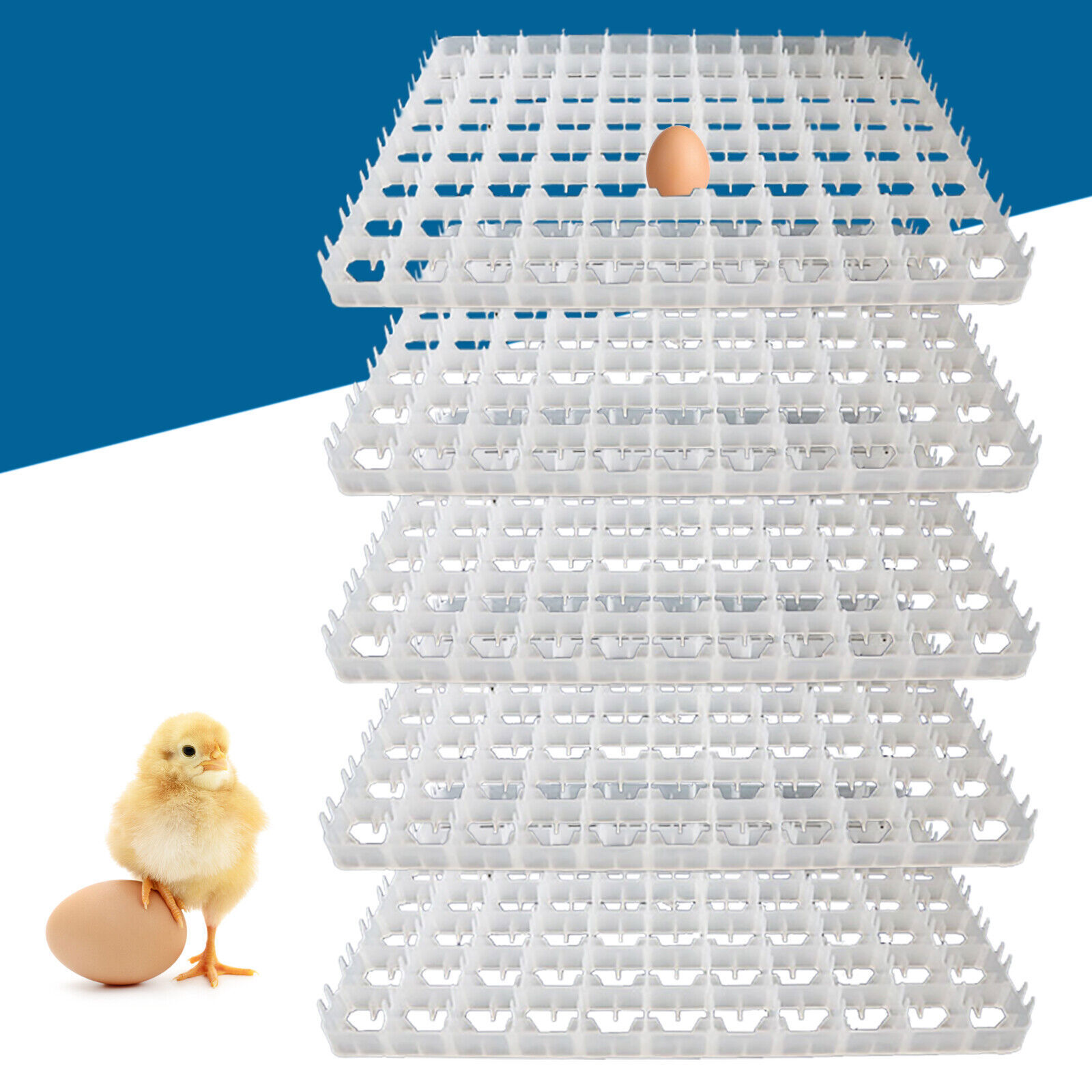 5 Pack Durable Egg Incubator Trays Fits 88 Egg Incubator Plastic Replacement