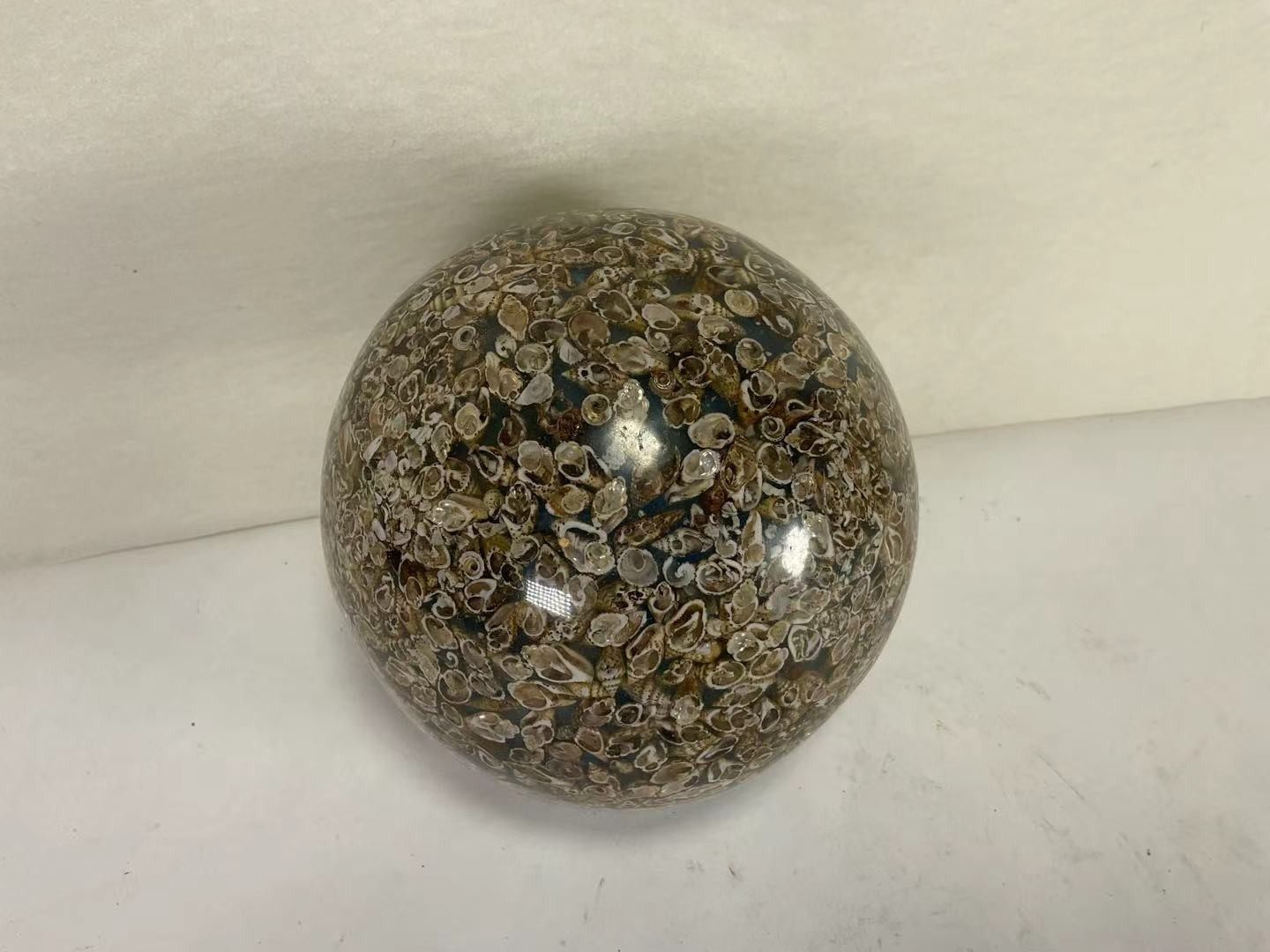 AAA88 Globe Sphere Small Seashell Beach Home Art Decoration Object