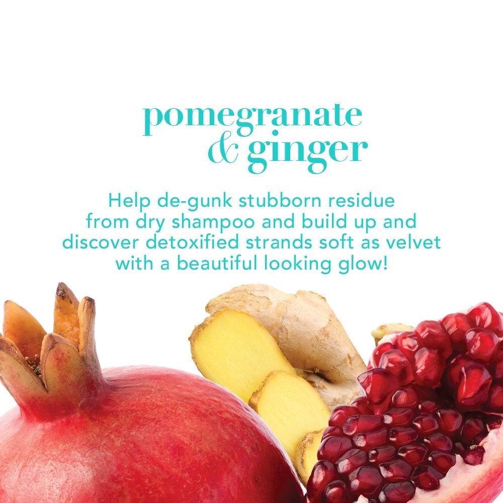 OGX Detoxifying Pomegranate & Ginger Shampoo, Sulfate Free - 13 fl oz