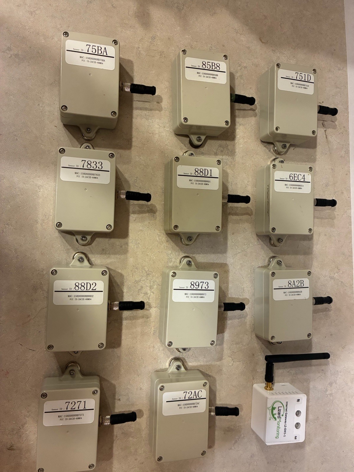 Lizard Monitoring Temperature System