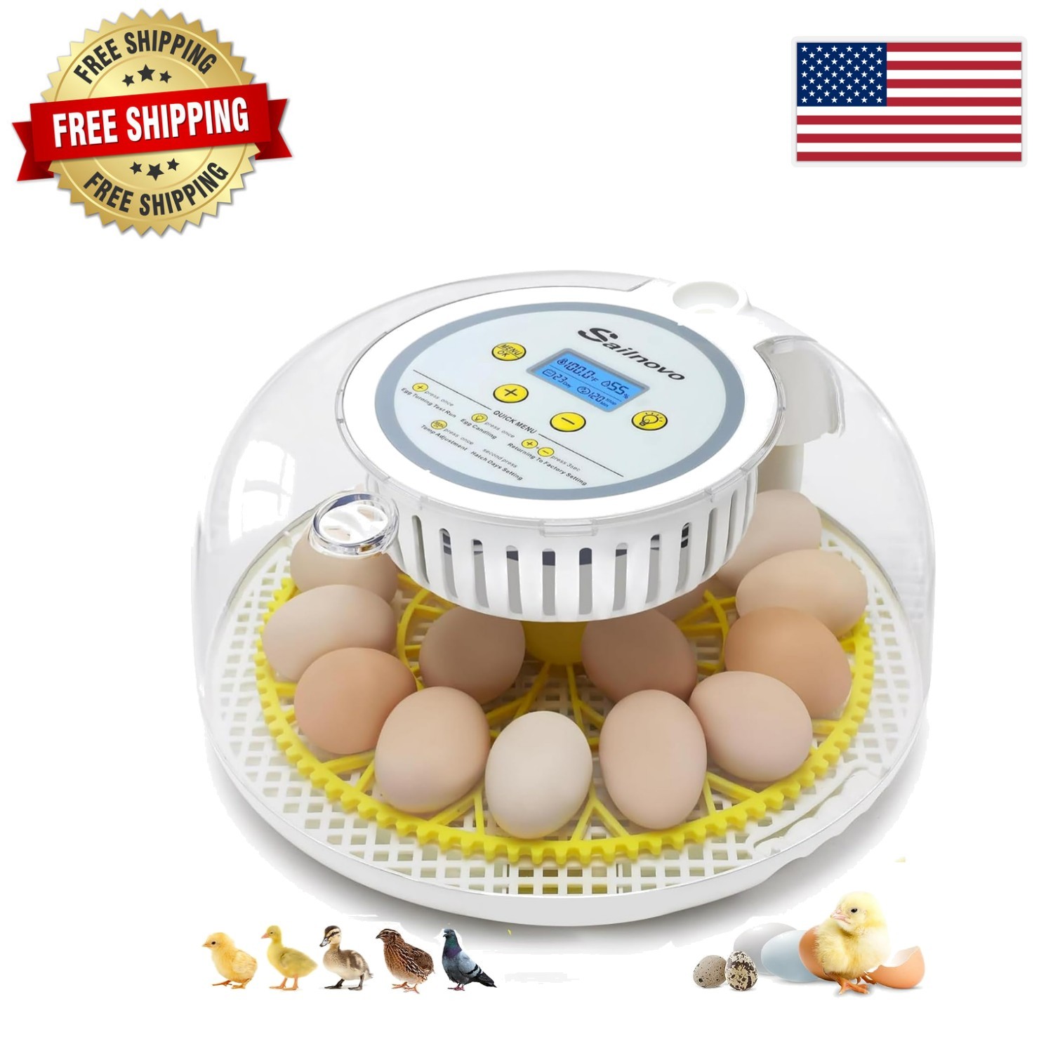 All-in-One 18 Egg Incubator: Clear View, Temperature Stability, and Easy Setup