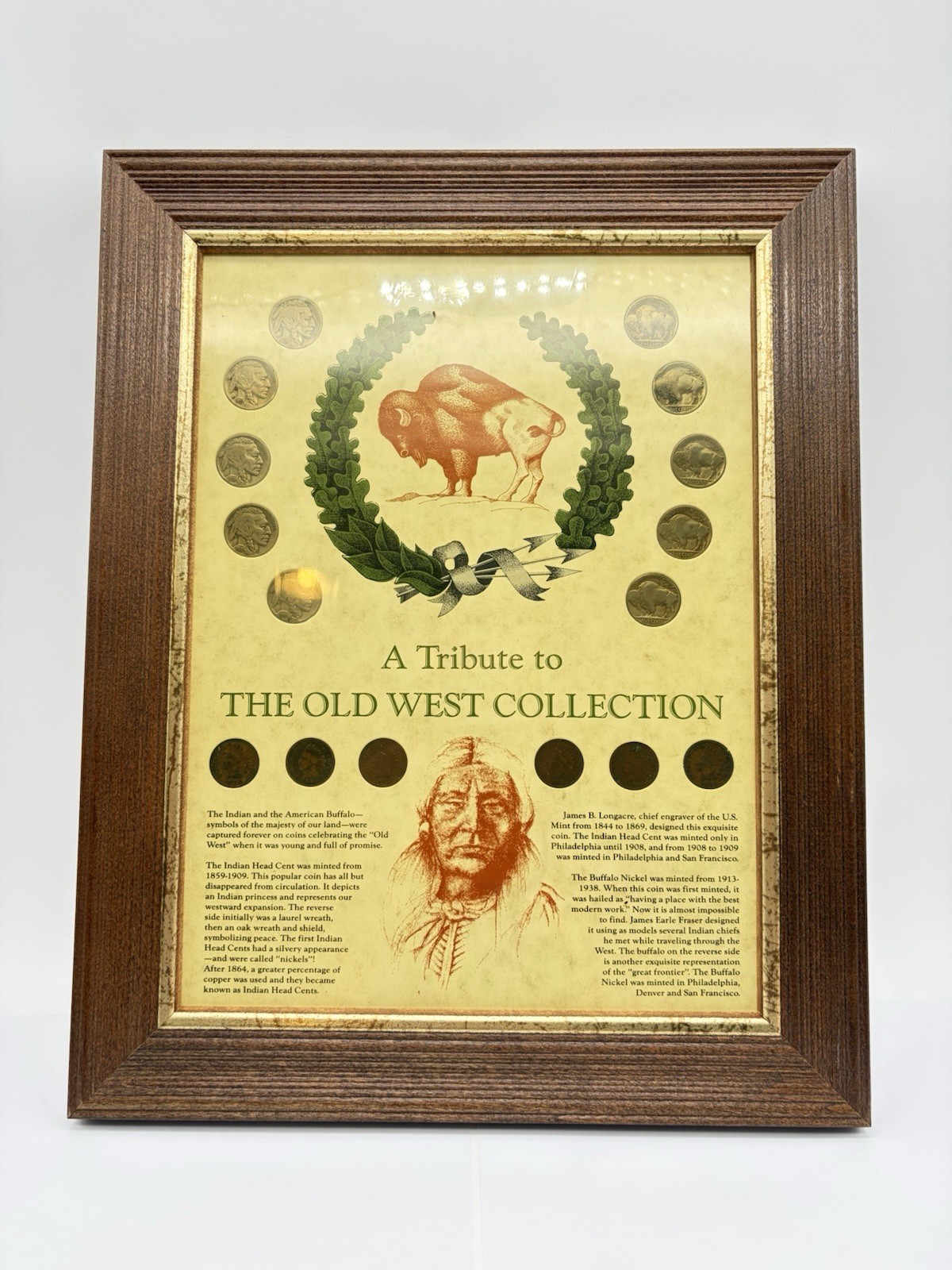 RARE Framed The Old West Collection Indian Head Cent & Buffalo Nickel Collection