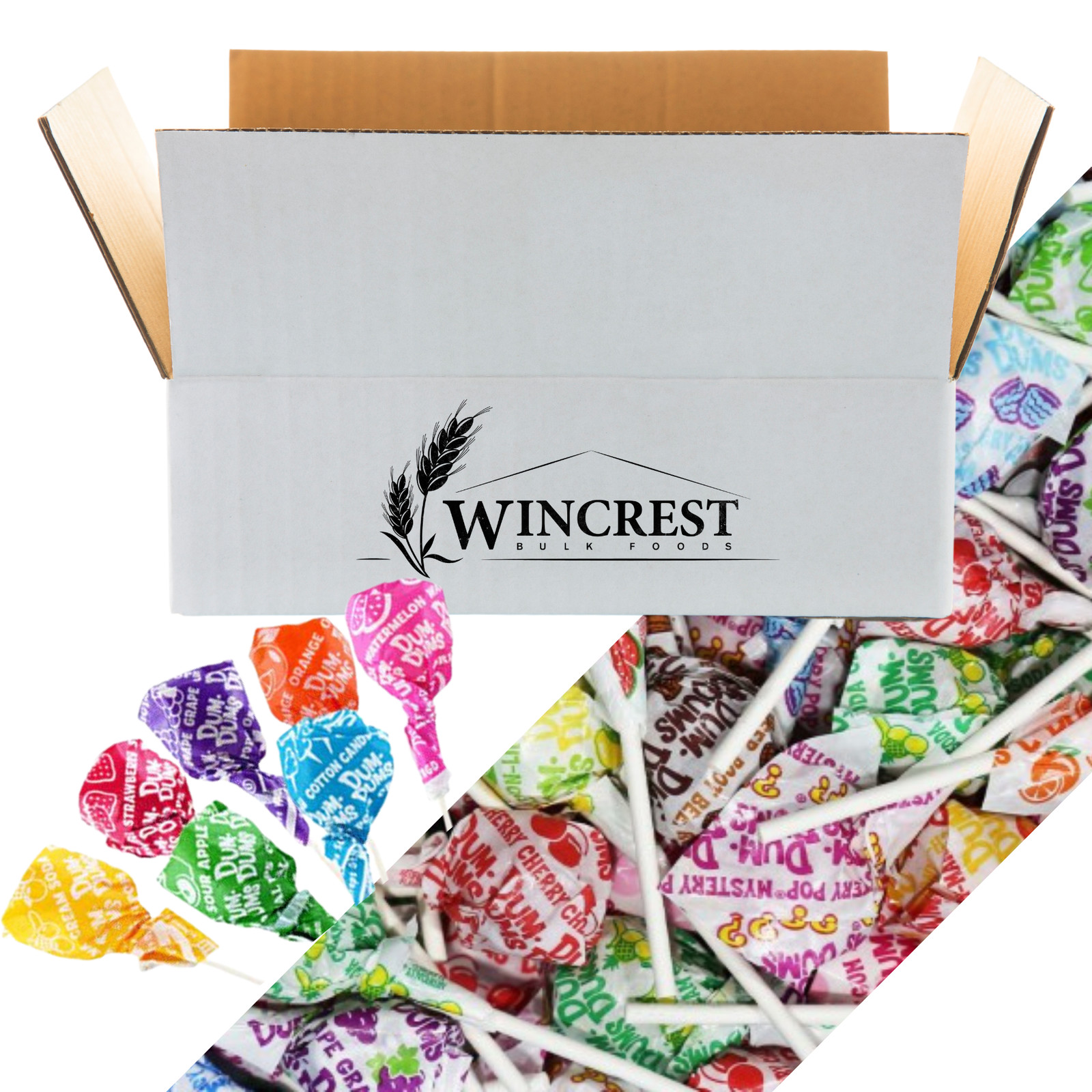 Assorted Flavor Dum Dums Lollipops - 5 Lb Case - Free Expedited Shipping!