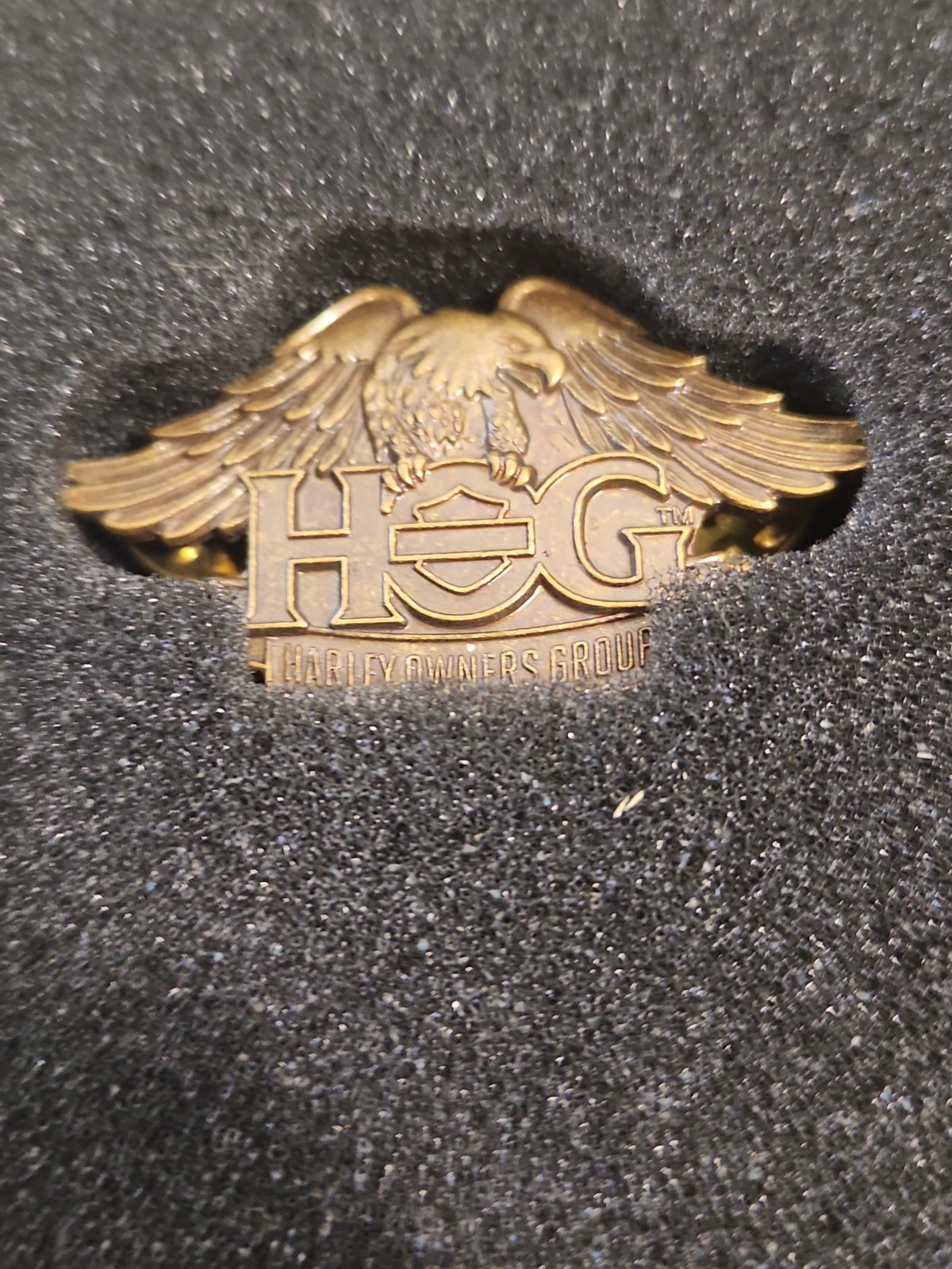 Harley-Davidson HOG Tin (Harley Owners Group) Includes Patch • Pin • Medallion