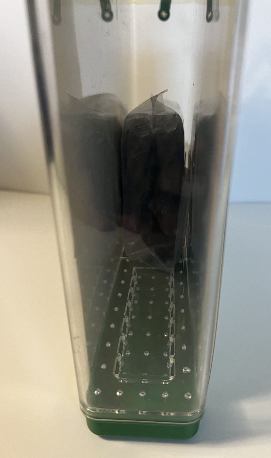 Toysmith Our Garden Root Viewer Science Educational See Through Planter Box NOS