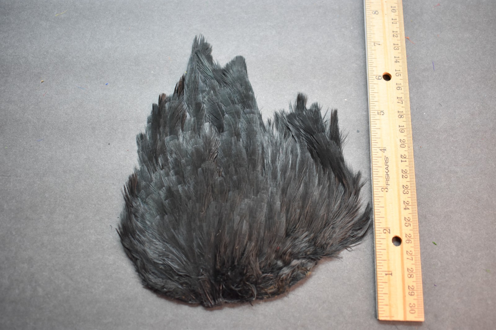 Lot 368, Dyed Black  India Hen Back Saddle Feathers for Fly Tying