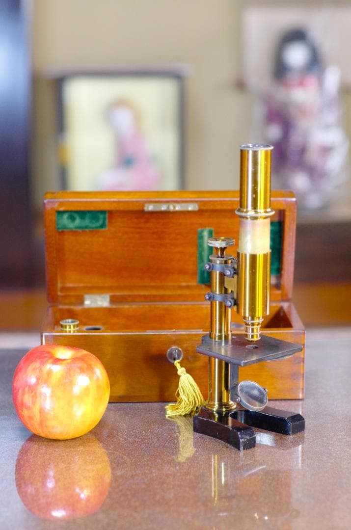 microscope antique collectible Ernst Leitz Stand V Microscope SN.1557 1873